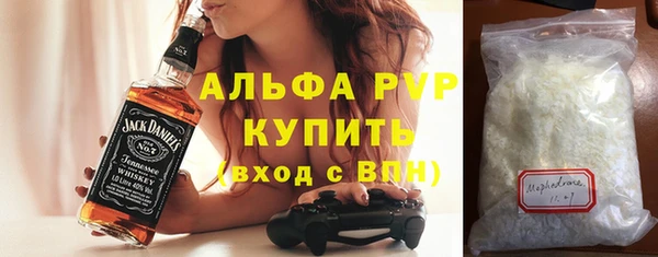 сатива Беломорск