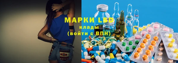 сатива Беломорск