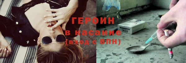 сатива Беломорск