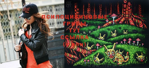 spice Аркадак