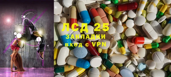 spice Аркадак