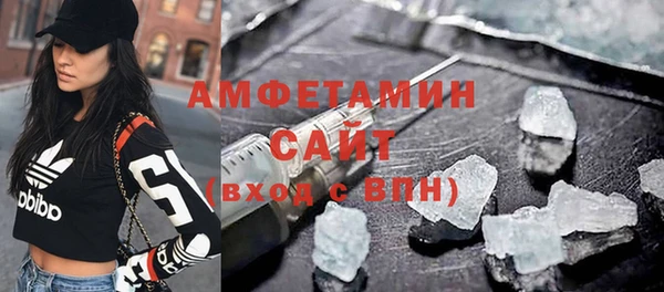 сатива Беломорск