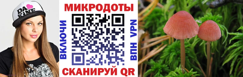 Купить закладки  Сегежа  Псилоцибиновые грибы MAGIC MUSHROOMS 