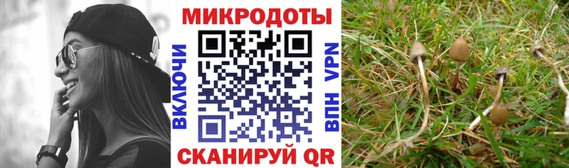 Галлюциногенные грибы GOLDEN TEACHER Сегежа